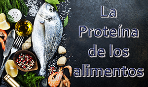 La proteína