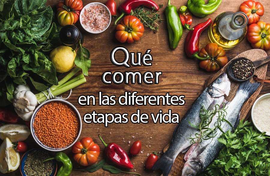 Qué comer en las diferentes etapas de vida