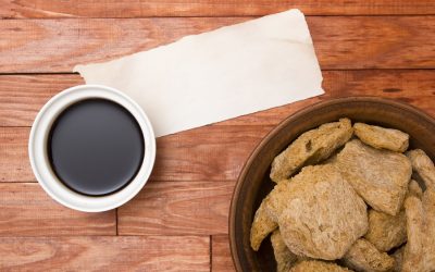 Milanesa de soya