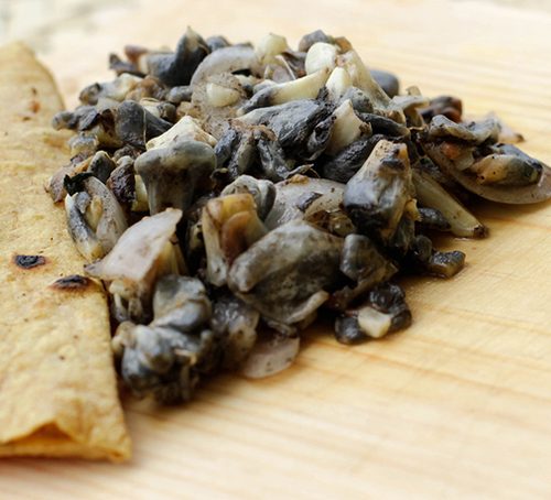 Quesadillas De Huitlacoche Vidactual