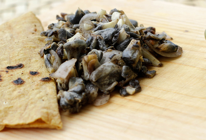 Quesadillas de huitlacoche - Vidactual