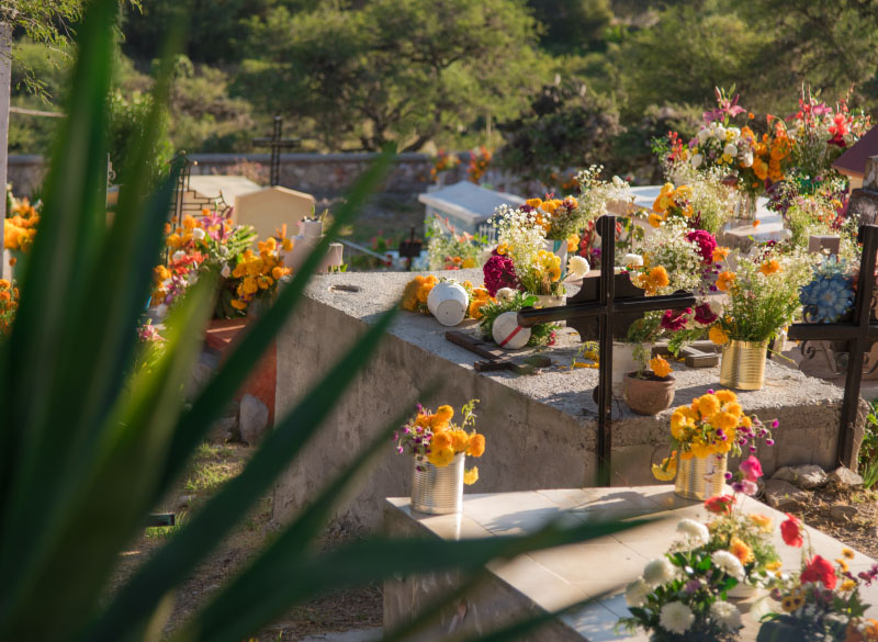 Día de muertos Querétaro